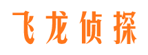 蒲城侦探公司